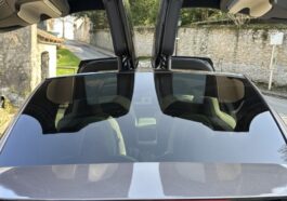 Tesla Model X Plaid vue wings