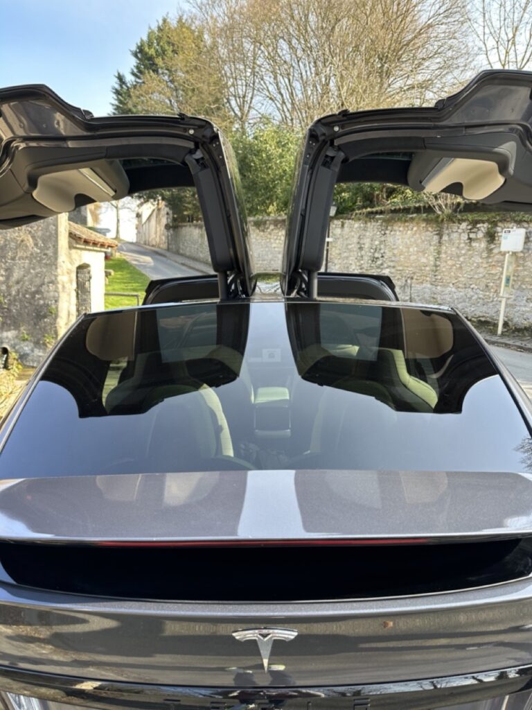 Tesla Model X Plaid vue wings